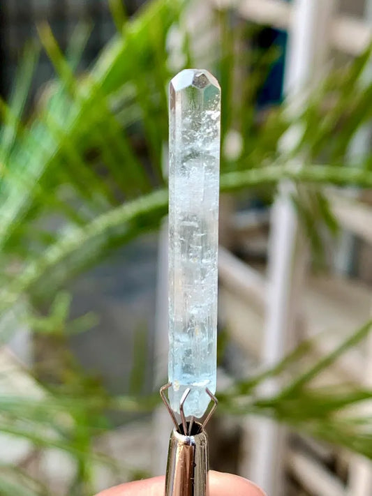 Gemmy Blue Aquamarine for Collectors from Pakistan - 11.50 Carats