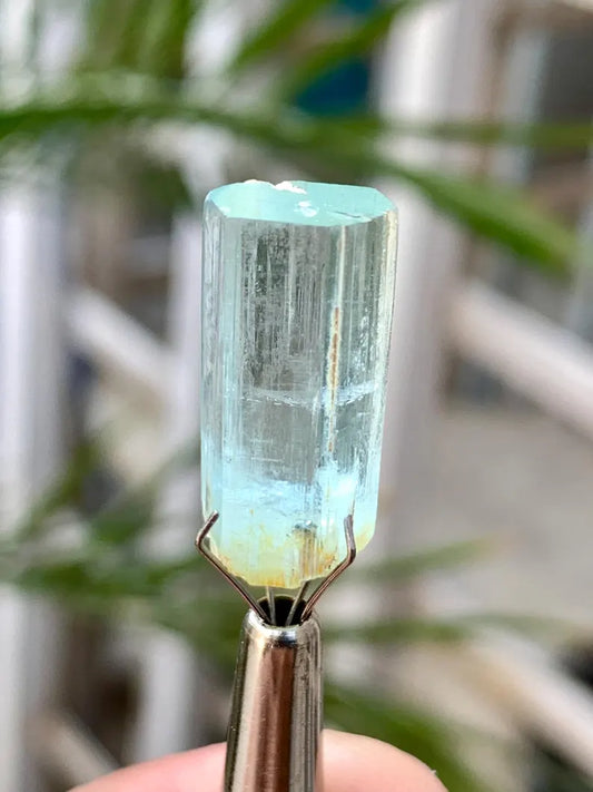 Gemmy Blue Aquamarine Crystal from Pakistan - 14.00 Carats
