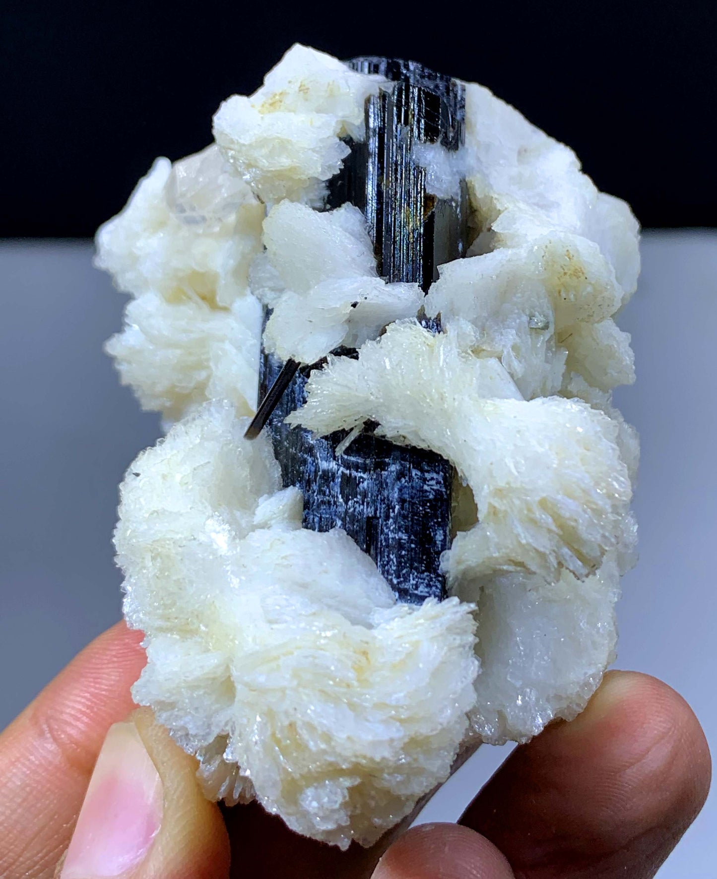 Natural Schorl Black Tourmaline Crystal With Topaz And Albite From Pakistan - 118 Gram