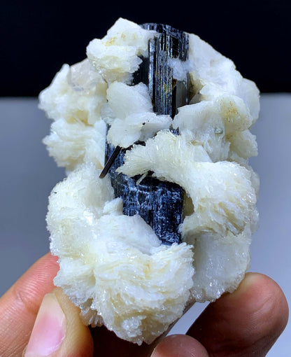 Natural Schorl Black Tourmaline Crystal With Topaz And Albite From Pakistan - 118 Gram