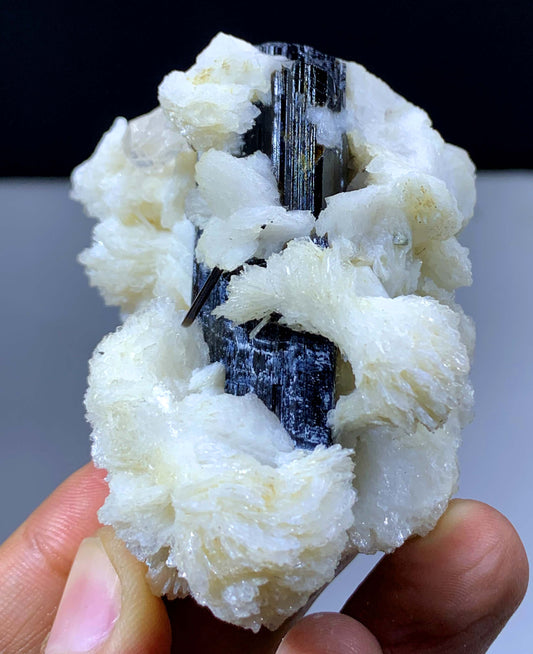 Natural Schorl Black Tourmaline Crystal With Topaz And Albite From Pakistan - 118 Gram