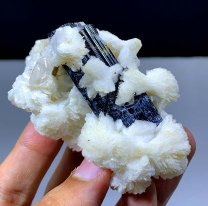 Natural Schorl Black Tourmaline Crystal With Topaz And Albite From Pakistan - 118 Gram