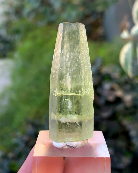 Yellow Heliodor Crystal From Skardu Pakistan - 13 Gram