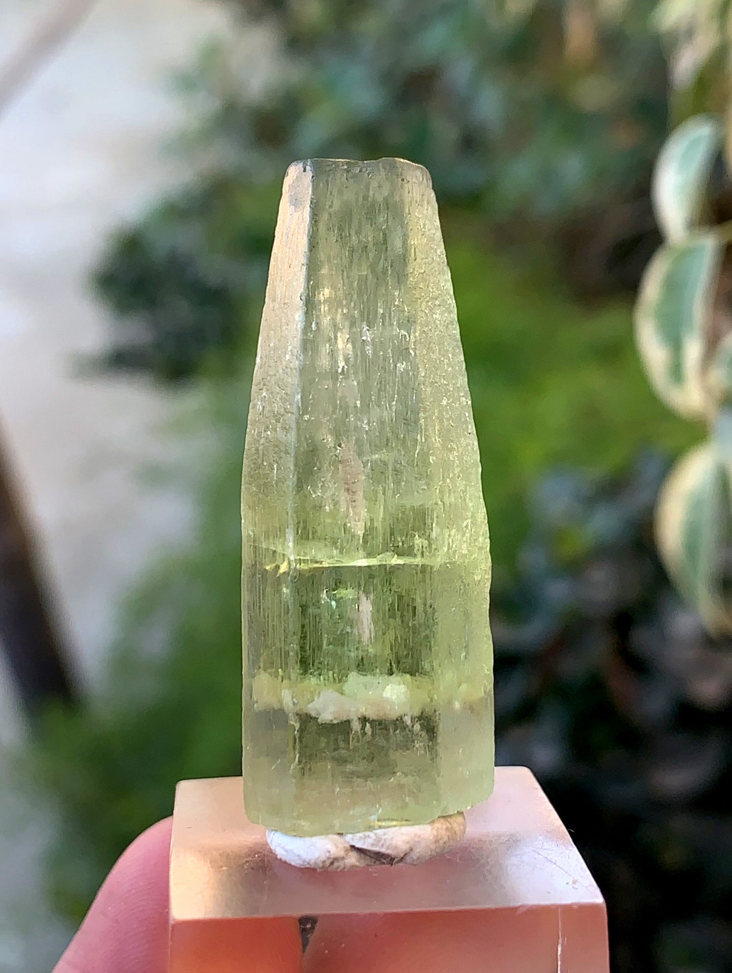 Yellow Heliodor Crystal From Skardu Pakistan - 13 Gram