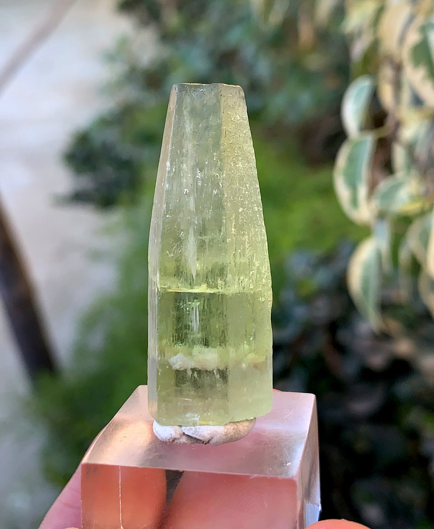 Yellow Heliodor Crystal From Skardu Pakistan - 13 Gram