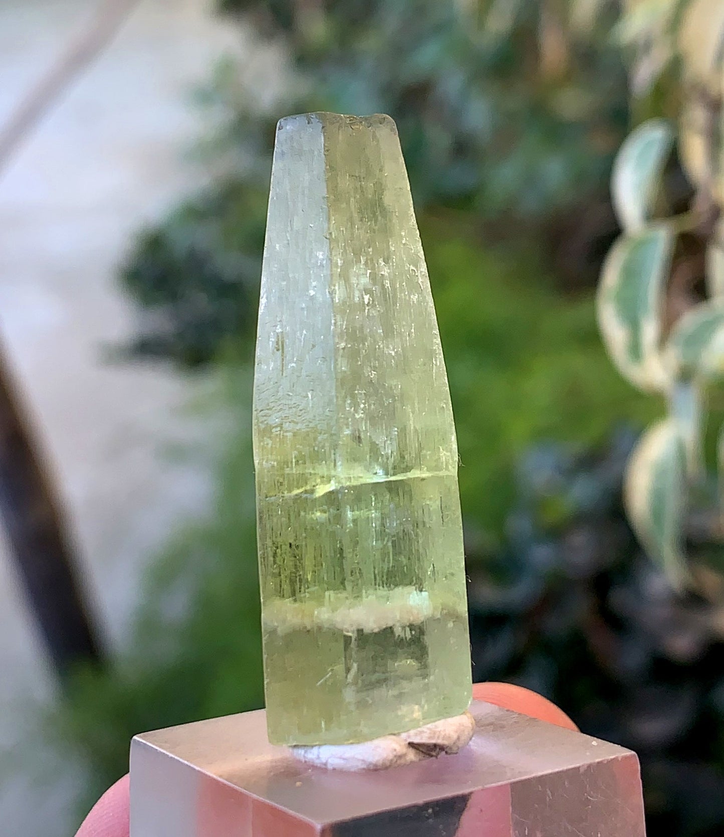 Yellow Heliodor Crystal From Skardu Pakistan - 13 Gram