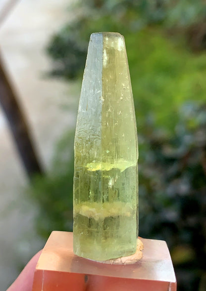 Yellow Heliodor Crystal From Skardu Pakistan - 13 Gram