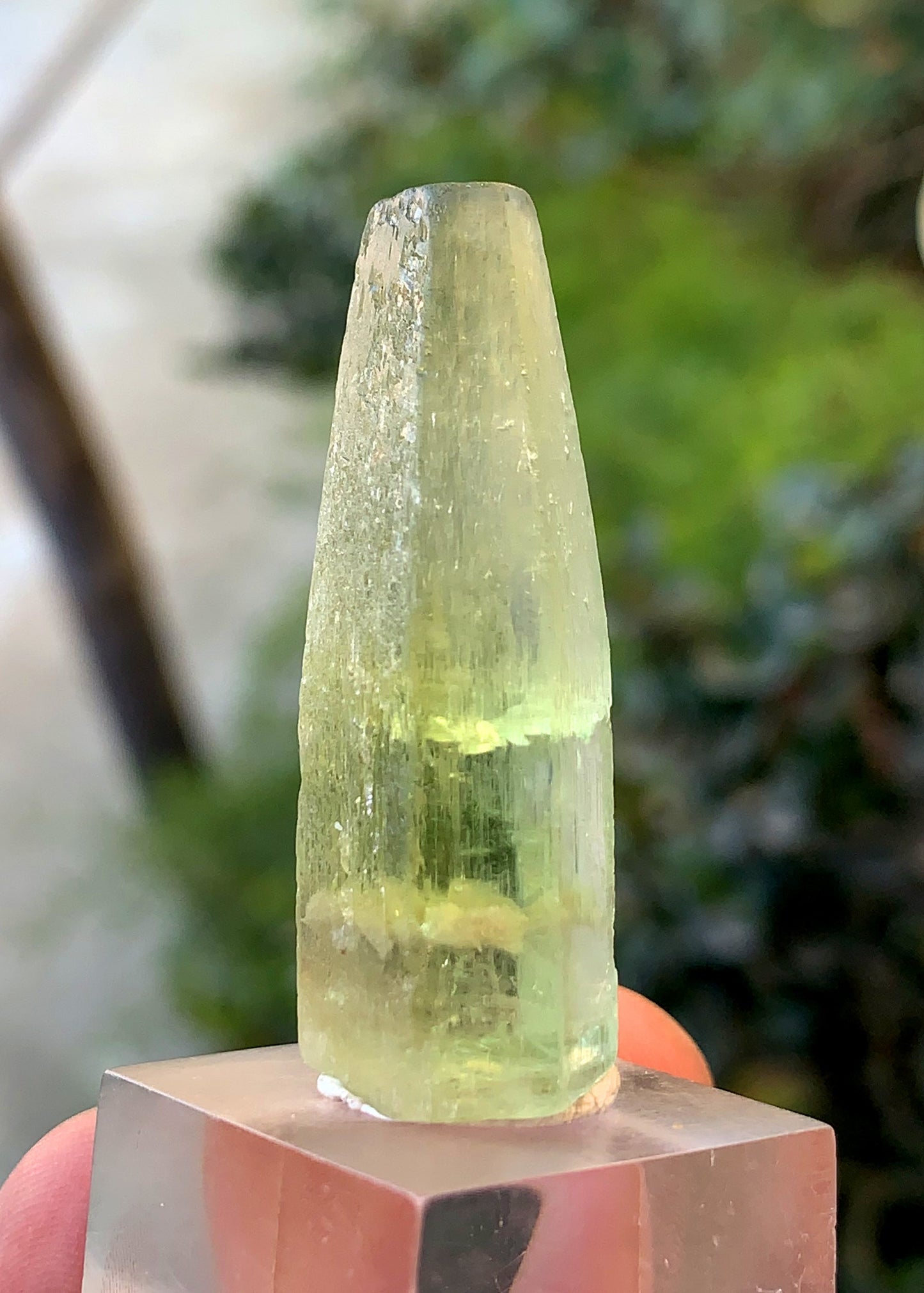 Yellow Heliodor Crystal From Skardu Pakistan - 13 Gram
