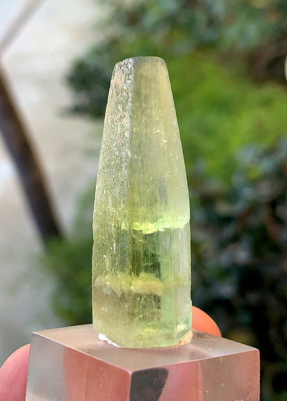 Yellow Heliodor Crystal From Skardu Pakistan - 13 Gram