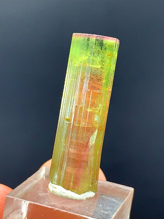 Watermelon Tourmaline Crystal From Afghanistan