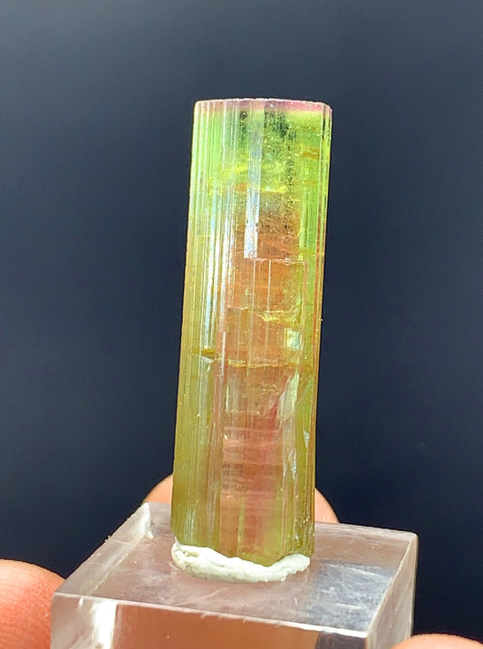 Watermelon Tourmaline Crystal From Afghanistan