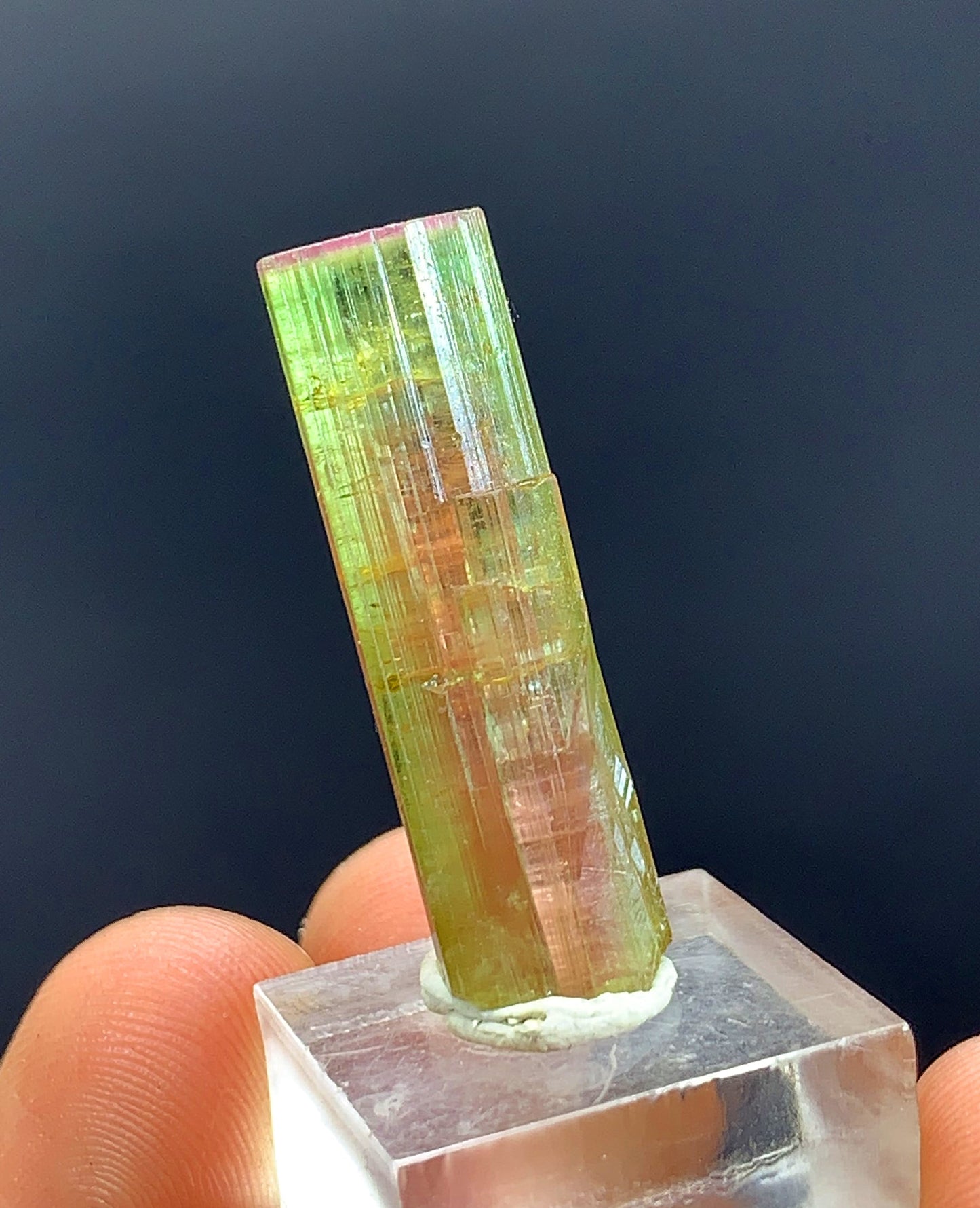 Watermelon Tourmaline Crystal From Afghanistan