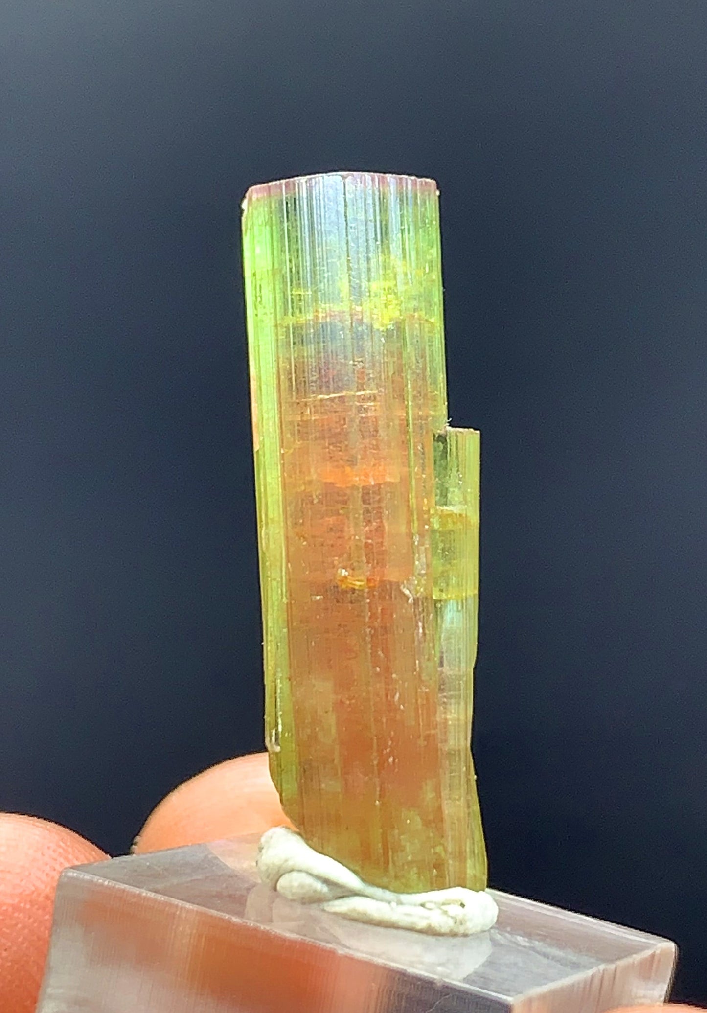 Watermelon Tourmaline Crystal From Afghanistan