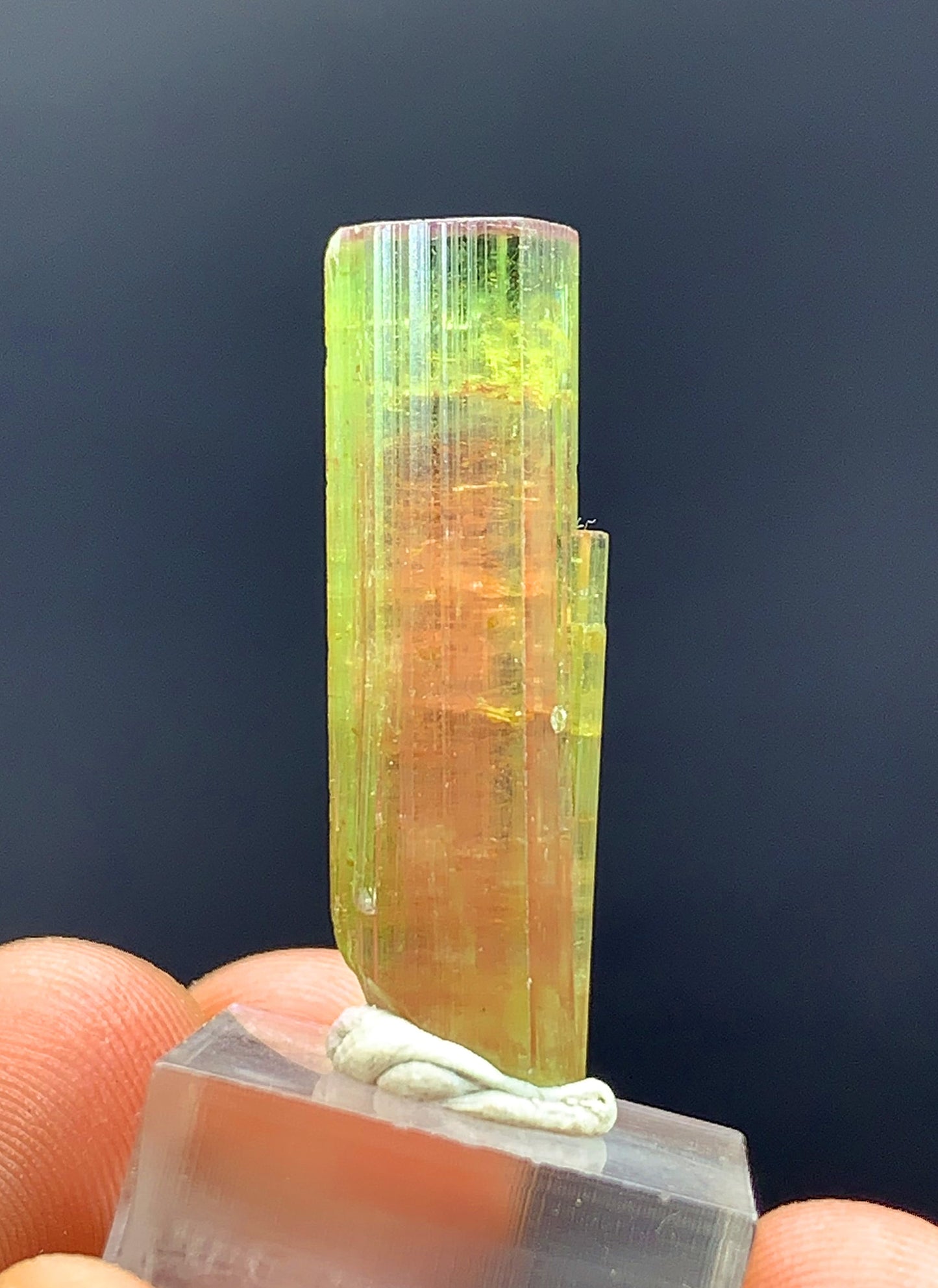 Watermelon Tourmaline Crystal From Afghanistan