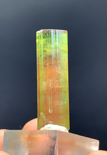 Watermelon Tourmaline Crystal From Afghanistan