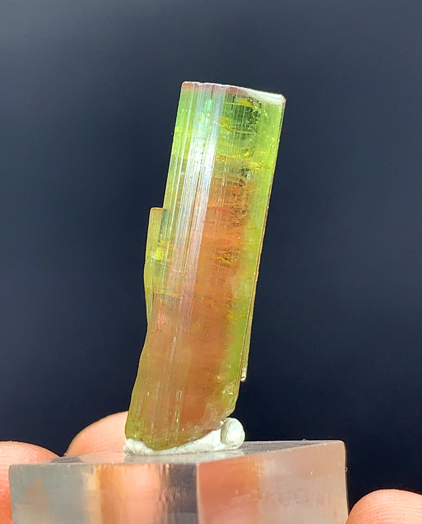 Watermelon Tourmaline Crystal From Afghanistan