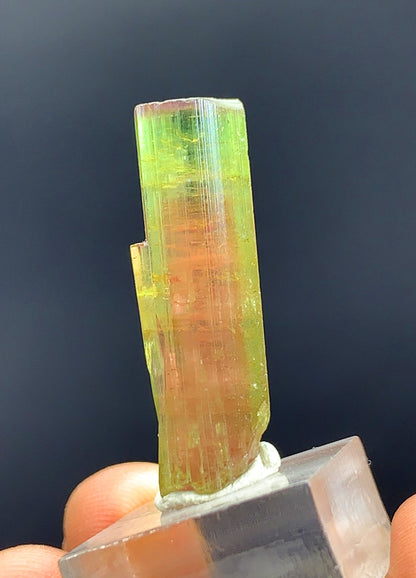 Watermelon Tourmaline Crystal From Afghanistan