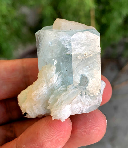 Stunning Blue Aquamarine on Cleavelandite Albite from Pakistan - 54 gram