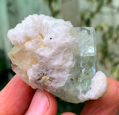 Tranpsarent Blue Aquamarine With Albite From Pakistan