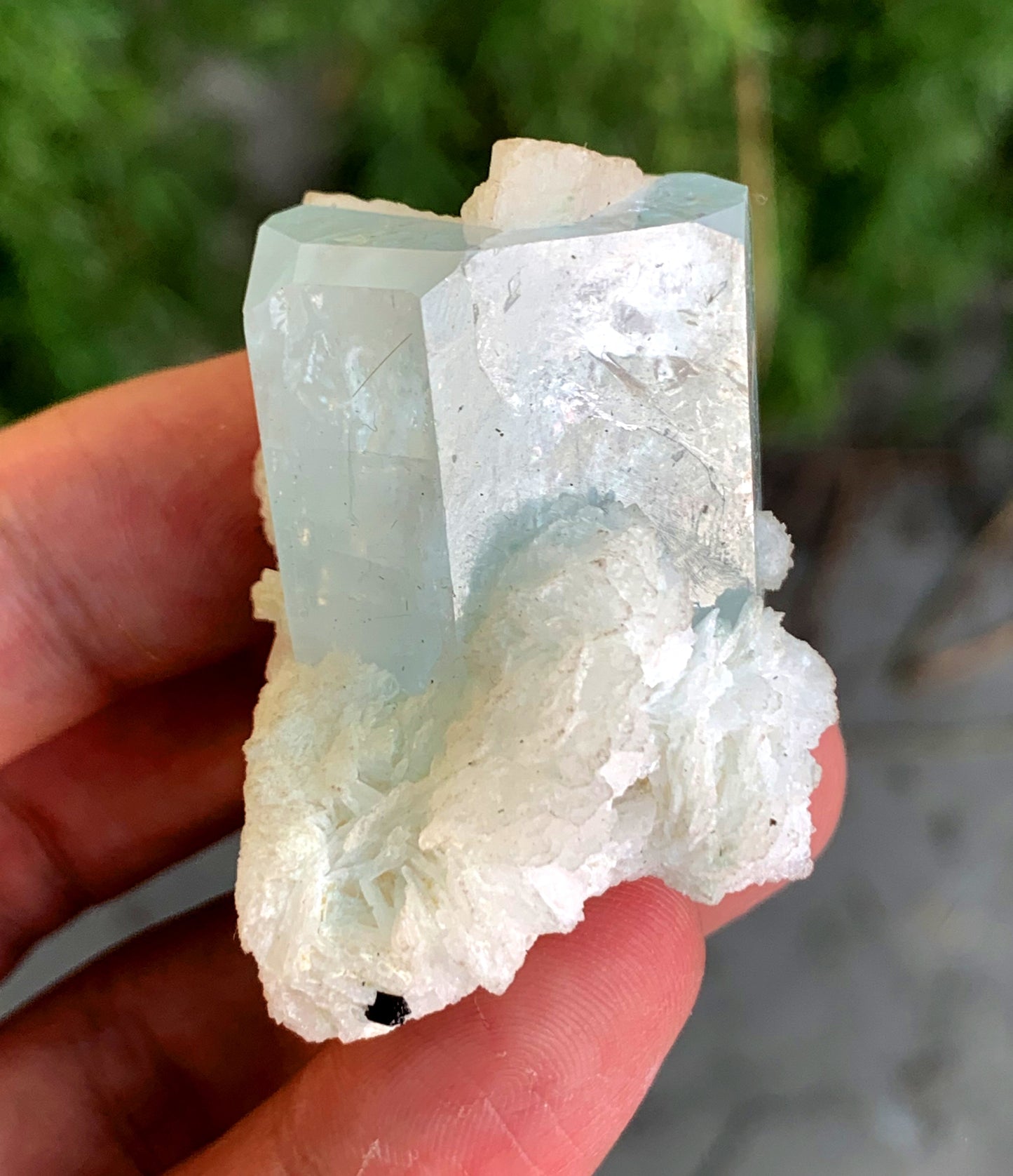 Stunning Blue Aquamarine on Cleavelandite Albite from Pakistan - 54 gram