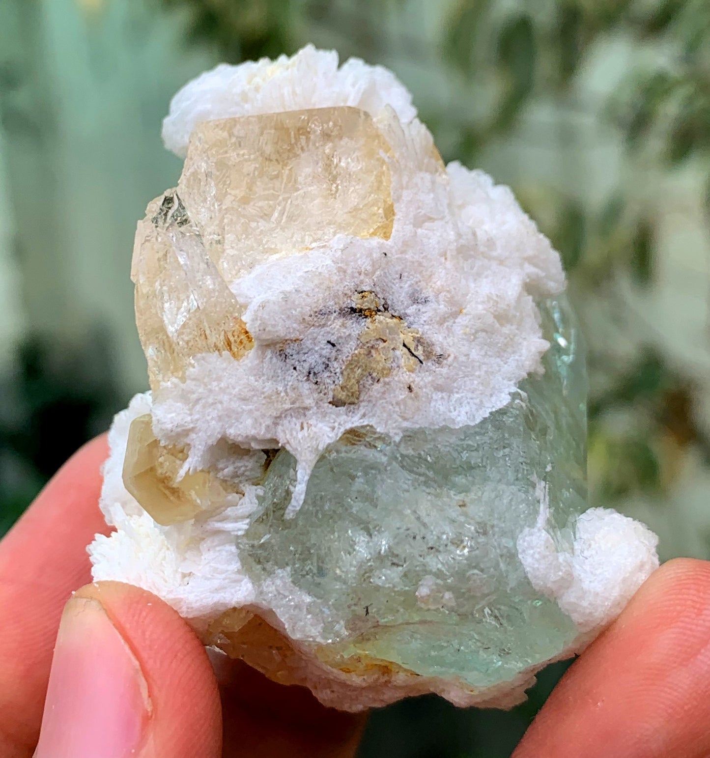 Tranpsarent Blue Aquamarine With Albite From Pakistan