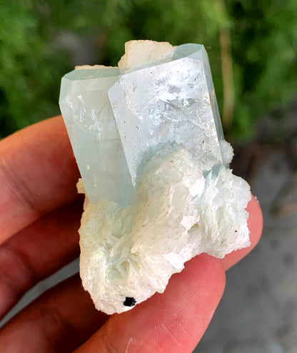 Stunning Blue Aquamarine on Cleavelandite Albite from Pakistan - 54 gram