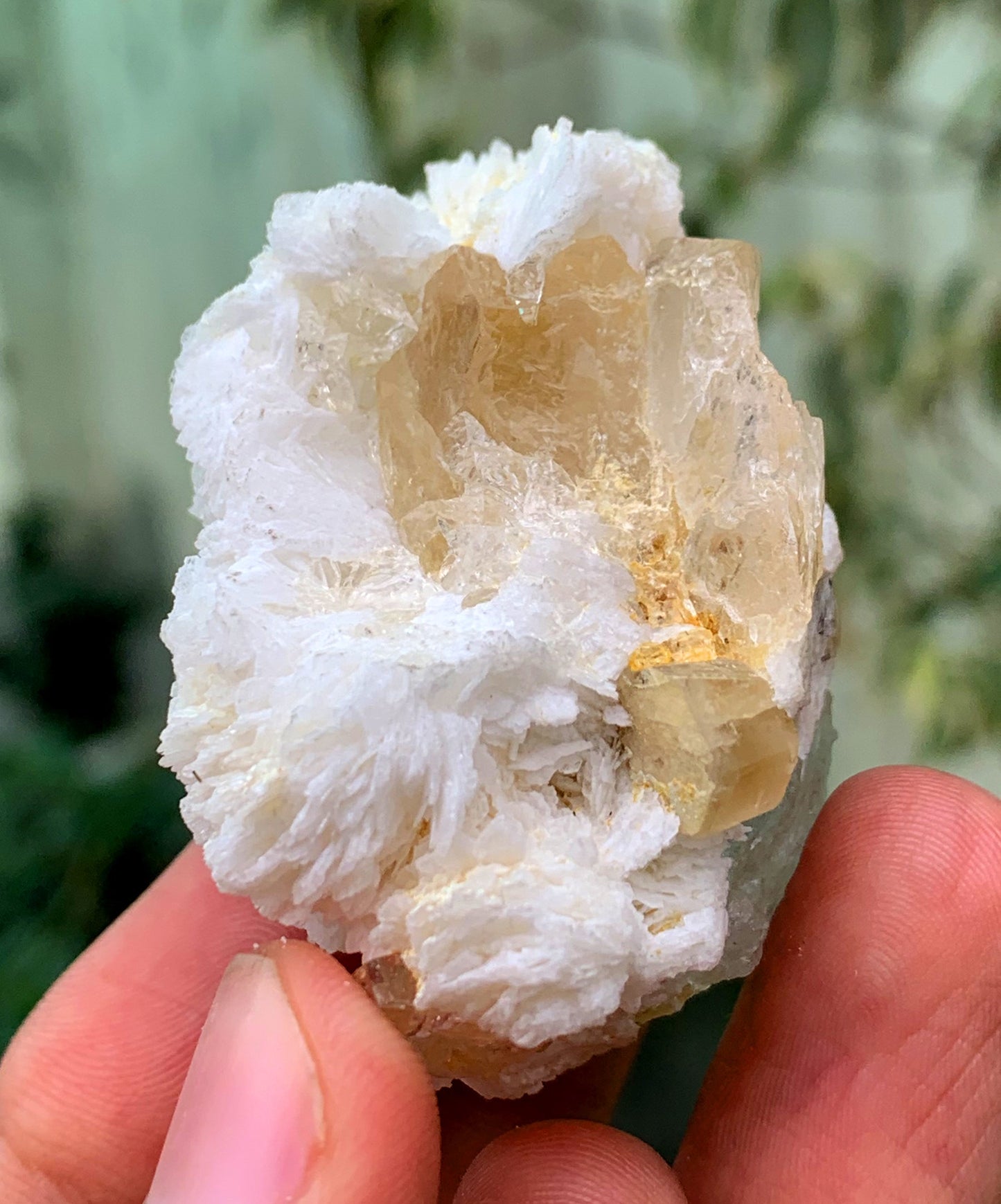 Tranpsarent Blue Aquamarine With Albite From Pakistan