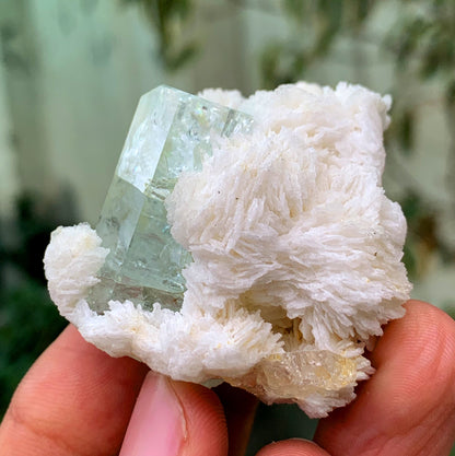 Tranpsarent Blue Aquamarine With Albite From Pakistan