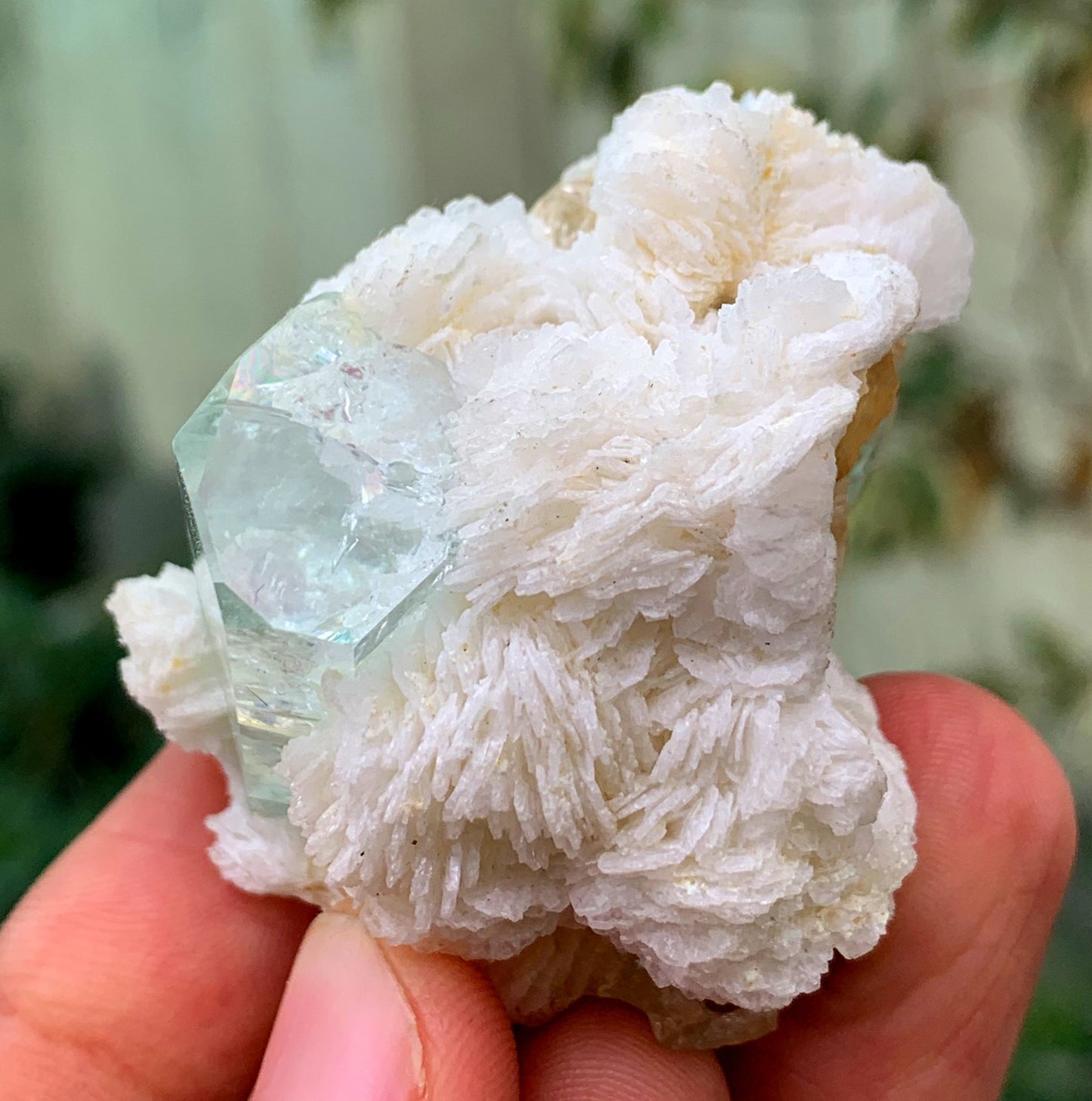 Tranpsarent Blue Aquamarine With Albite From Pakistan