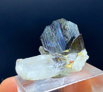 Rare Brown Brookite Crystal On Quartz From Pakistan 8.05 Carats