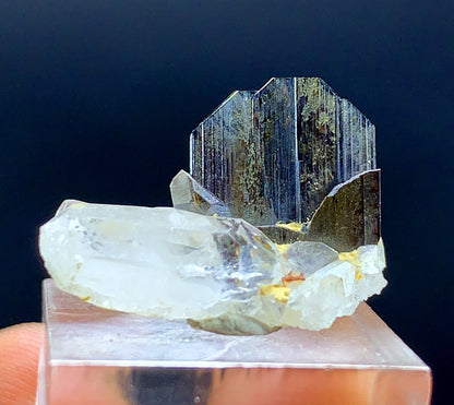 Rare Brown Brookite Crystal On Quartz From Pakistan 8.05 Carats