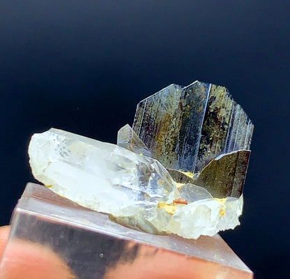 Rare Brown Brookite Crystal On Quartz From Pakistan 8.05 Carats