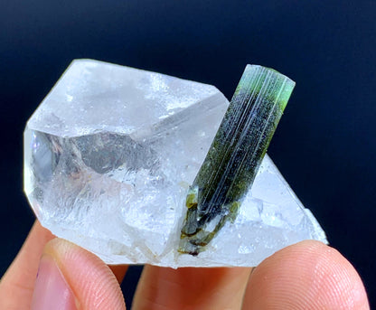 Natural Terminated Green Cap tourmaline Crystal On Quartz - 34 Gram