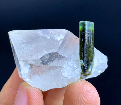 Natural Terminated Green Cap tourmaline Crystal On Quartz - 34 Gram