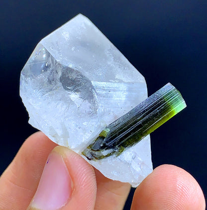 Natural Terminated Green Cap tourmaline Crystal On Quartz - 34 Gram