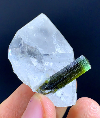 Natural Terminated Green Cap tourmaline Crystal On Quartz - 34 Gram