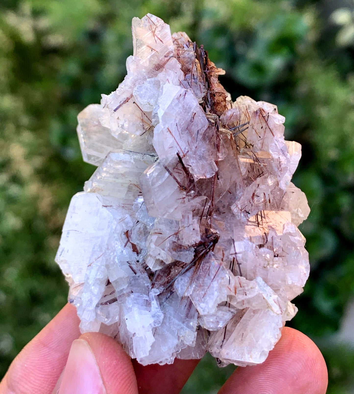 Red Rutile Crystals On barite From Pakistan - 55 Gram