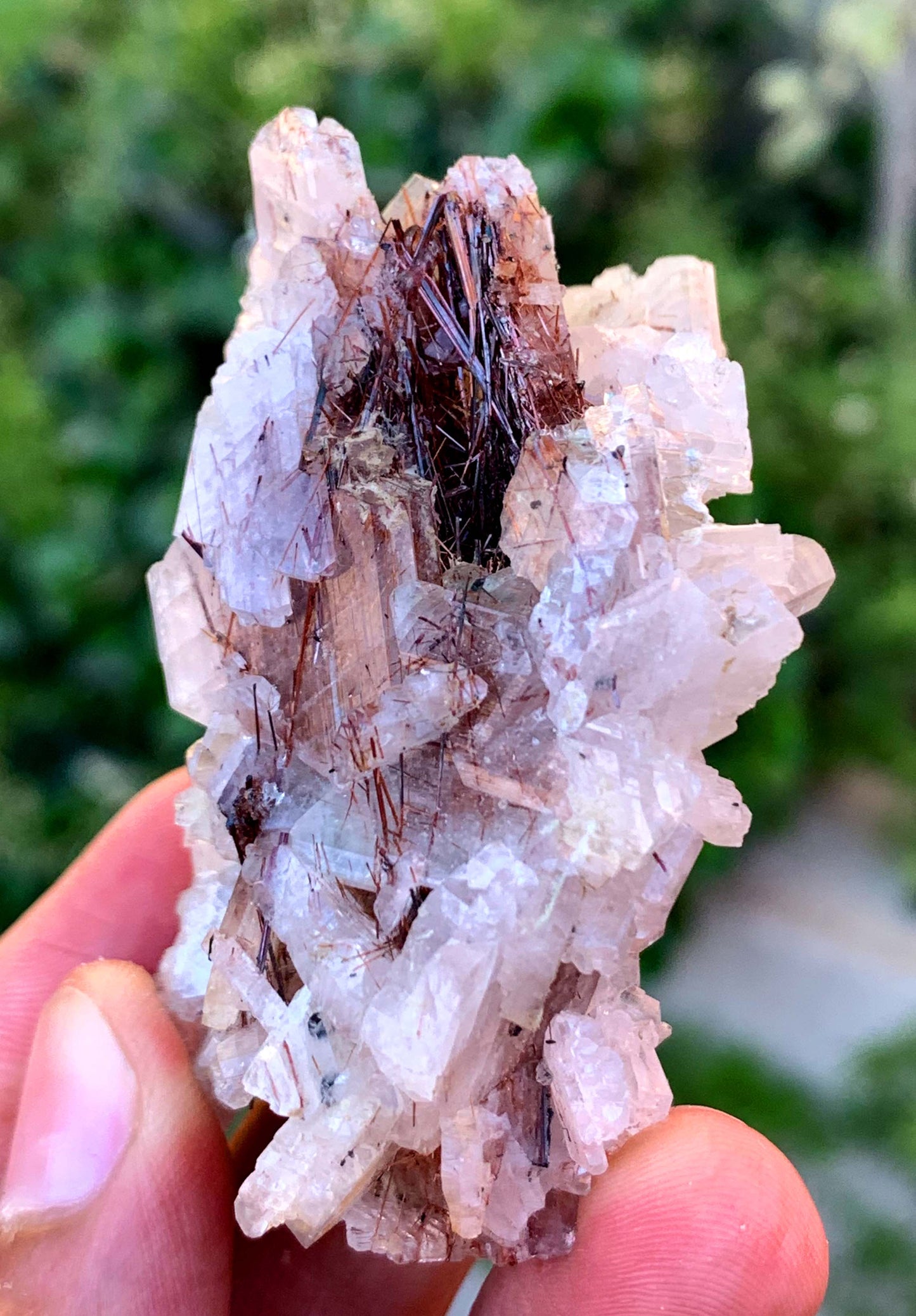 Red Rutile Crystals On barite From Pakistan - 55 Gram