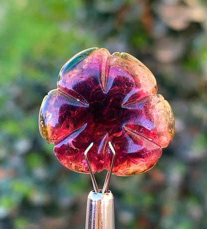 Amazing Watermelon Tourmaline Carving From Afghanistan - 36.40 Carats