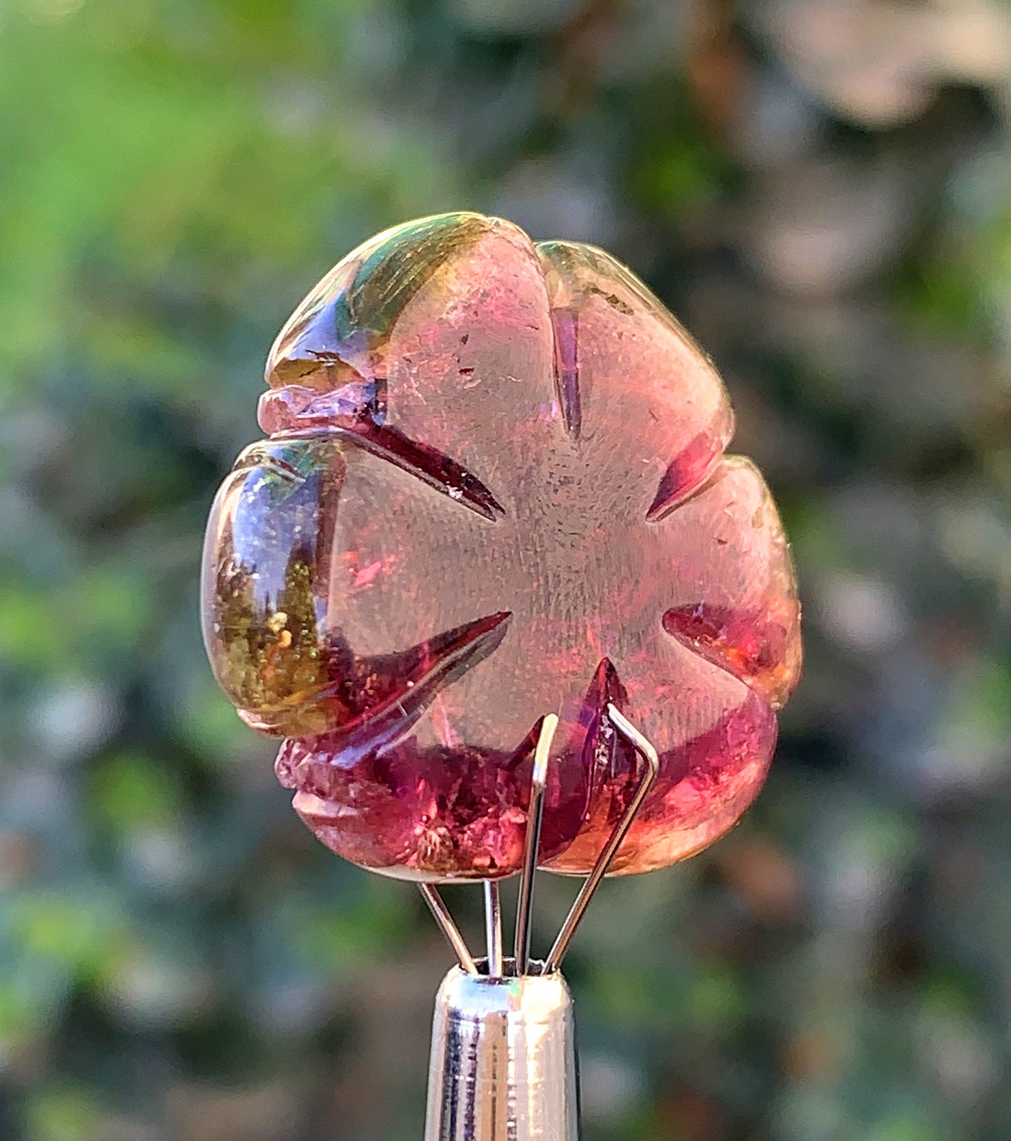 Amazing Watermelon Tourmaline Carving From Afghanistan - 36.40 Carats