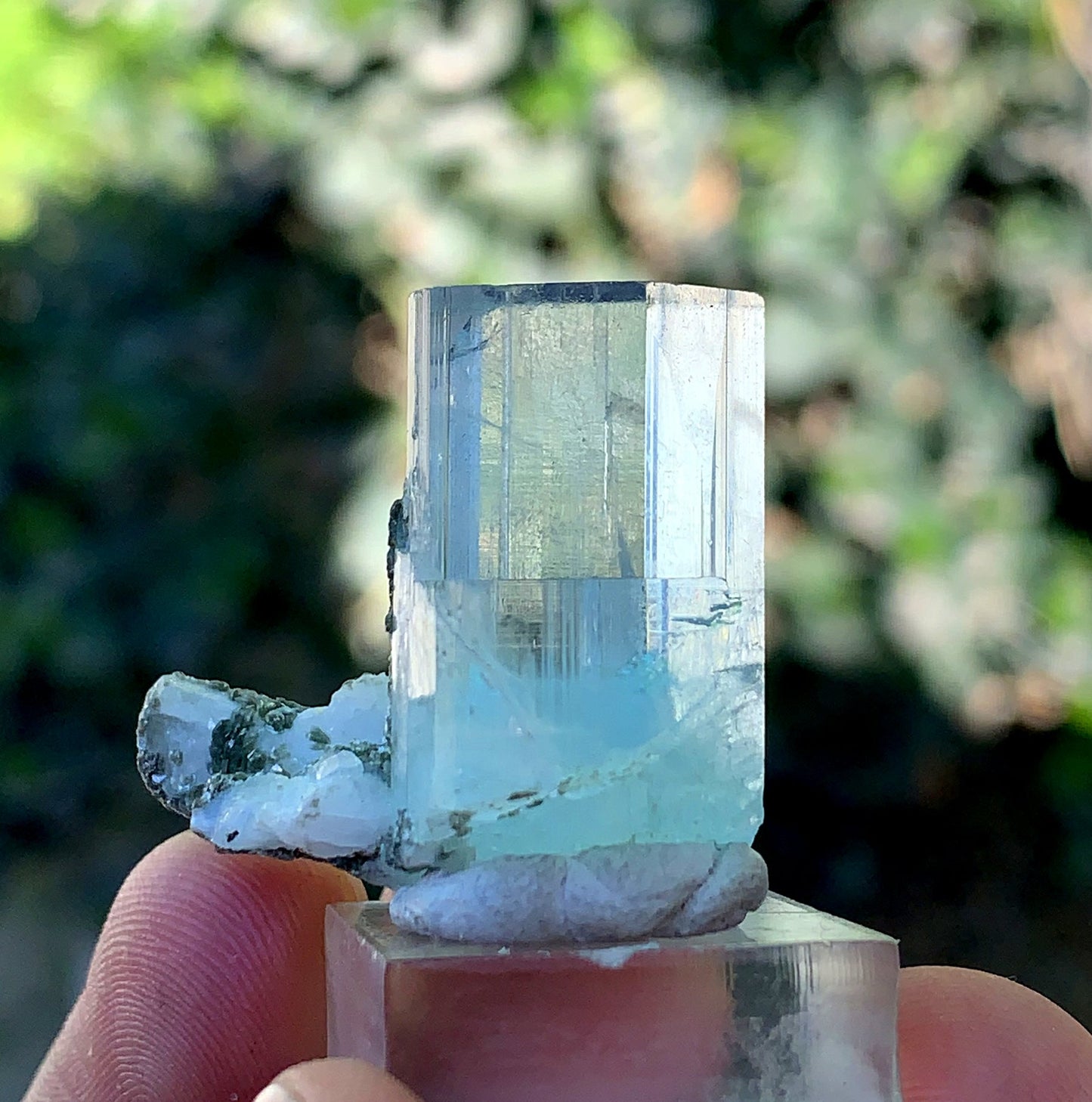 Natural Terminated Blue Aquamarine Crystal From Skardu Pakistan - 65.05 CTS