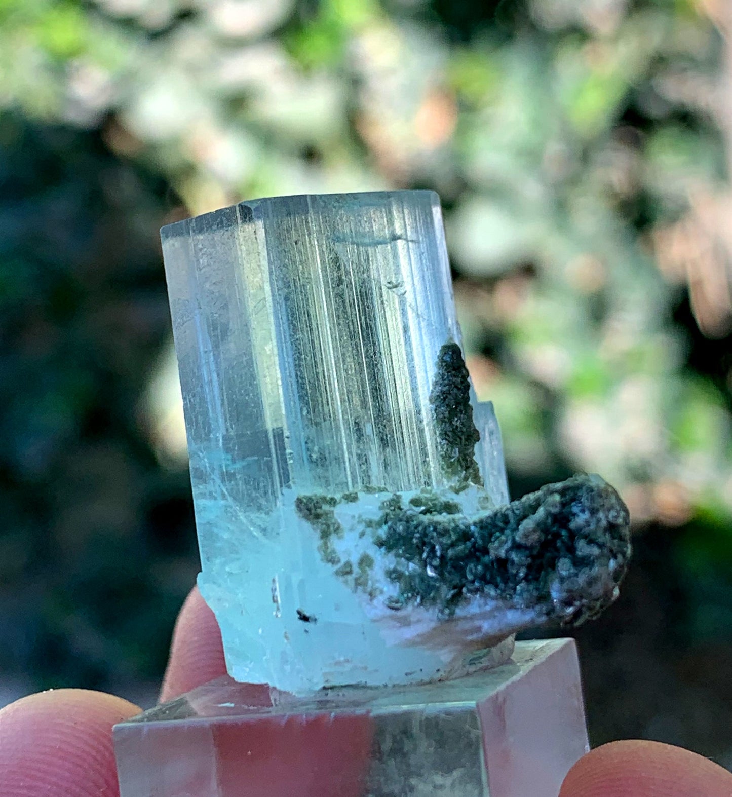 Natural Terminated Blue Aquamarine Crystal From Skardu Pakistan - 65.05 CTS