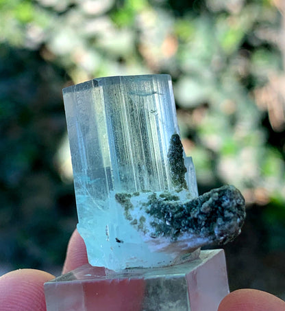 Natural Terminated Blue Aquamarine Crystal From Skardu Pakistan - 65.05 CTS