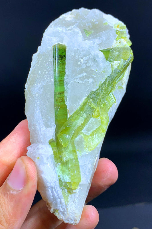 Terminated And Elongated Green Tourmaline Crytal On Quartz From Pakistan