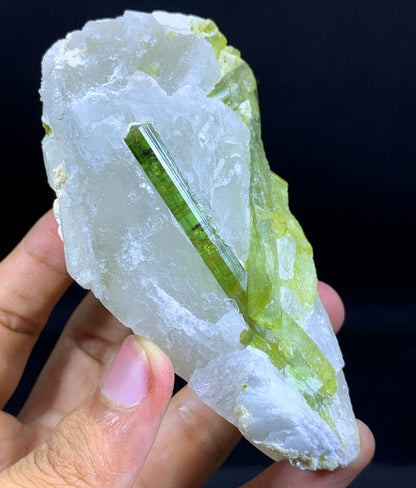 Terminated And Elongated Green Tourmaline Crytal On Quartz From Pakistan