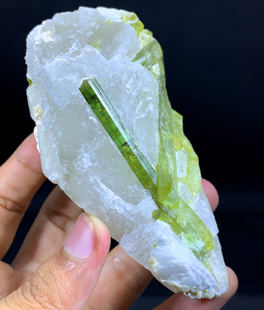 Terminated And Elongated Green Tourmaline Crytal On Quartz From Pakistan