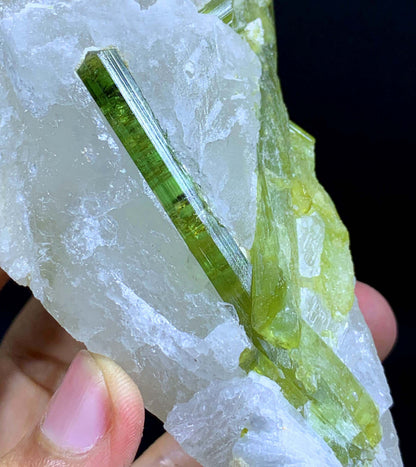 Terminated And Elongated Green Tourmaline Crytal On Quartz From Pakistan