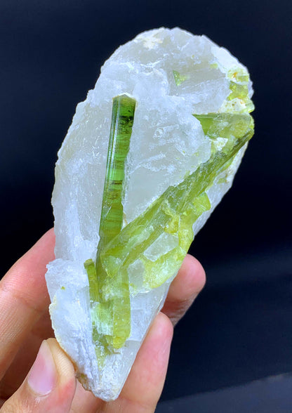 Terminated And Elongated Green Tourmaline Crytal On Quartz From Pakistan