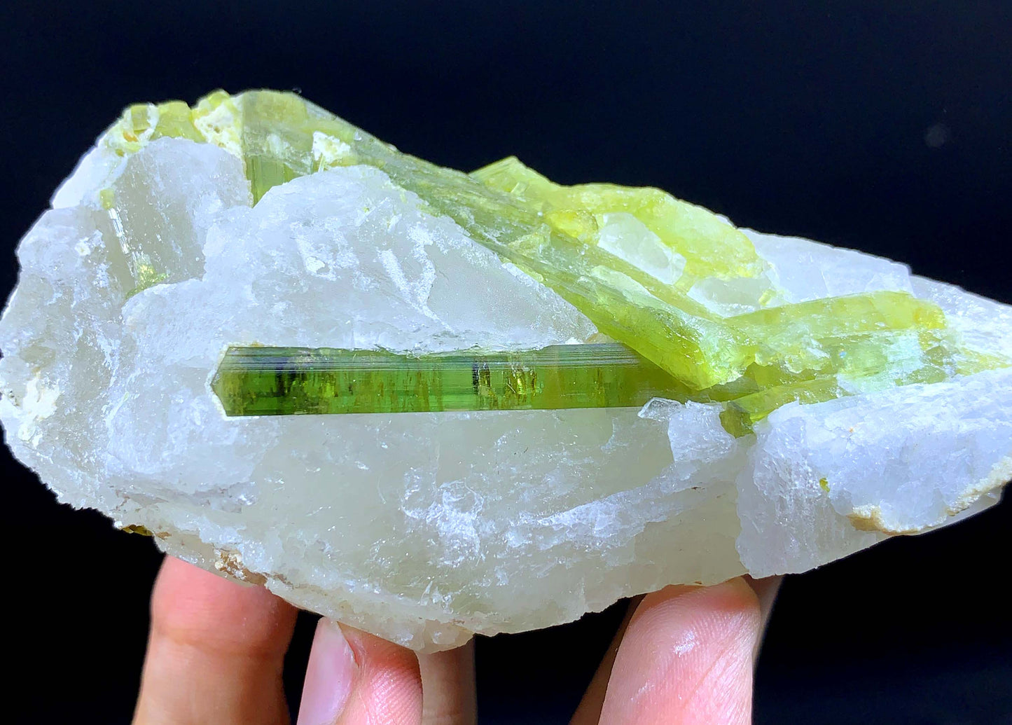 Terminated And Elongated Green Tourmaline Crytal On Quartz From Pakistan
