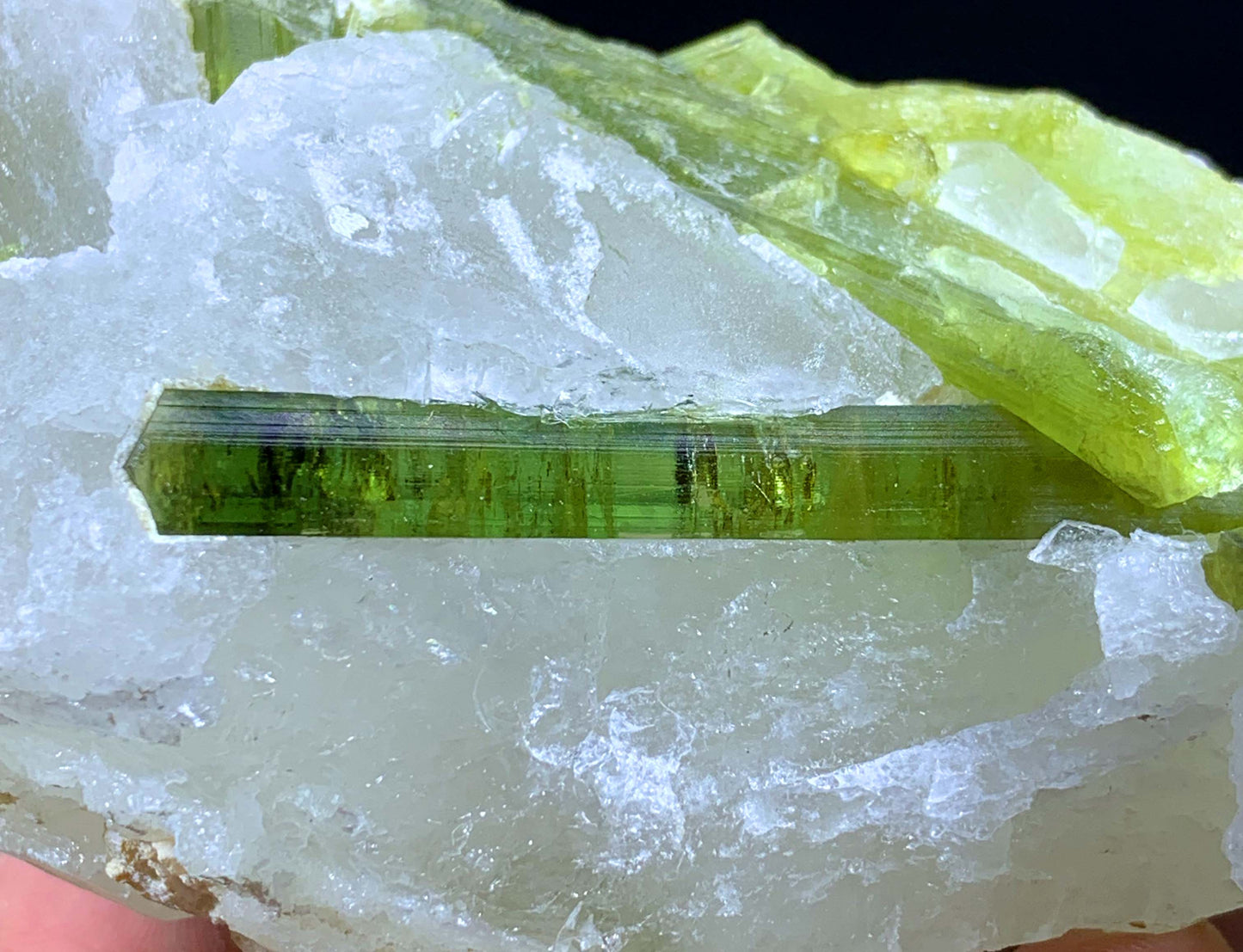 Terminated And Elongated Green Tourmaline Crytal On Quartz From Pakistan
